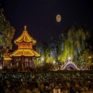 古莲花池夜游开启，邀您一起“遇见艺术·夜保定”（内含暑期延长闭馆时间通知）