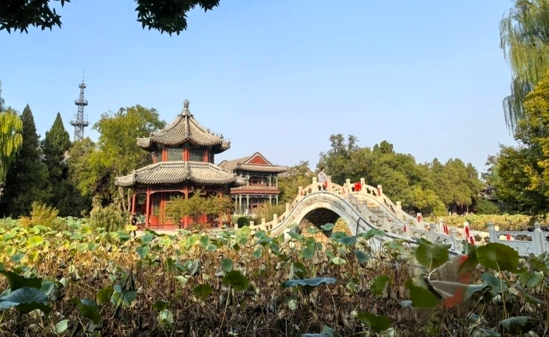 微信图片_2026-10-20_114027_245
